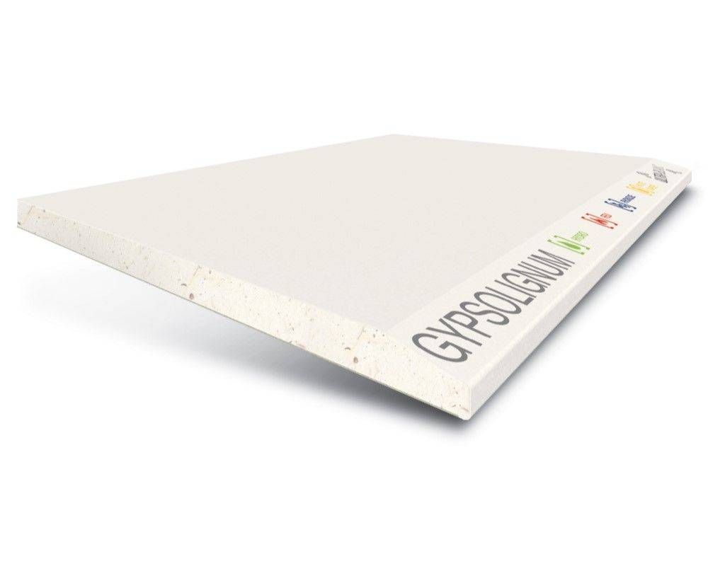 Lastra di cartongesso idrofuga resistente agli urti ignifuga fonoisolante FASSA gypsolignum 13 mm 120x300 cm